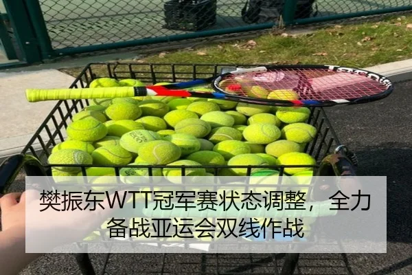 樊振东WTT冠军赛状态调整，全力备战亚运会双线作战