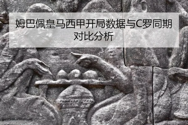 mu-ba-pei-huang-ma-xi-jia-kai-ju-shu-ju-yu-luo-tong-qi-dui-bi-fen-xi-3-560.jpg